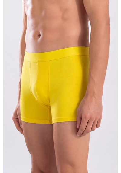 Arma Yıldız Erkek Premium Bambu Renkli Boxer 6'lı Hediye Kutulu Damat Bohçası Ve Çeyiz Seti Mavi Sarı Laci Yeşil Bordo Siyah
