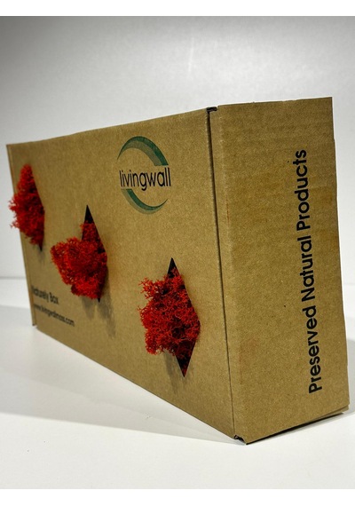 Reindermoss Şoklanmış Norveç Yosunu Terarium Yosunu Kırmızı 500 Gr.