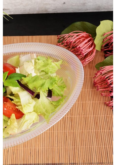 Tr Rays Oval Salata Kasesi-büyük-şeffaf Lüsterli Diğer
