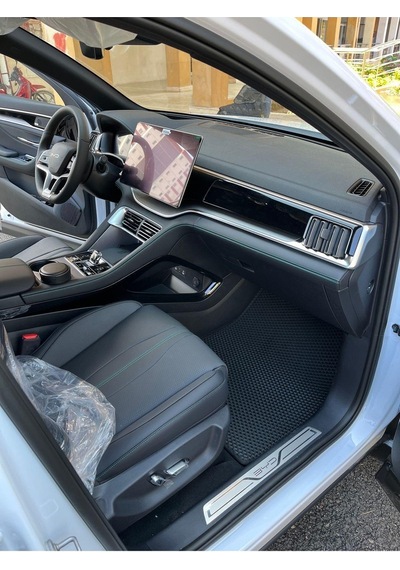 Byd Seal U Eva Paspas Bagaj Havuzu
