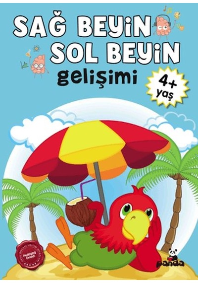 Sağ Beyin-sol Beyin Gelişimi 4+ Yaş - Ybve-667442