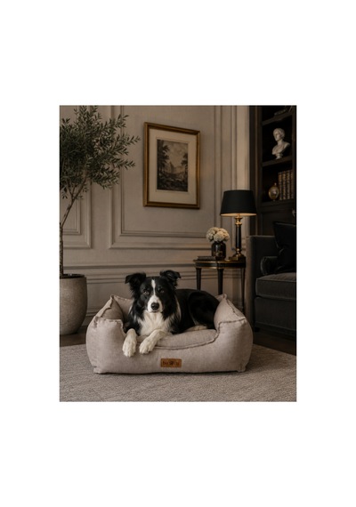 Premium Kedi Ve Köpek Yatağı Kafa Destekli Kaydırmaz Taban Yıkanabilir Fermuarlı Çift Taraflı Minder %100 Boncuk Elyaf Bej 1607705629 Premium Kedi Ve Köpek Yatağı Kafa Destekli Kaydırmaz Taban Yıkanabilir Fermuarlı Çift Taraflı Minder %100 Boncuk Elyaf Bej 1607705629