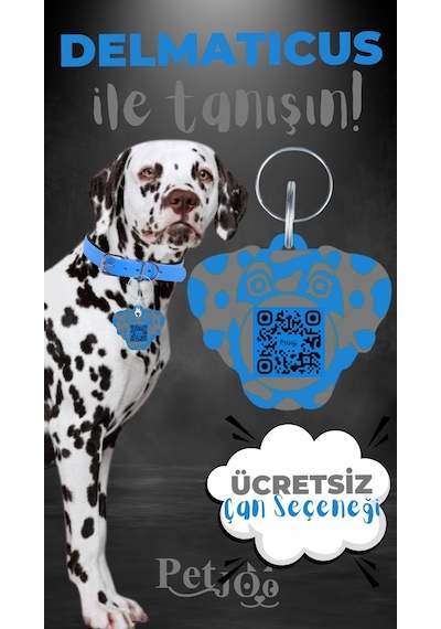 Petjoo 28.Delmaticus Gri-Mavi Qr'lı Köpek Künyesi