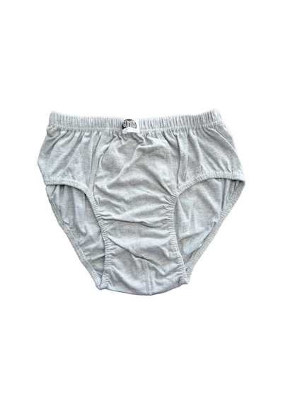 Gümüş Erkek Penye Slip Külot Renkli