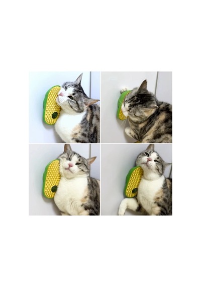 Kullanıma Uygun Silikon Kaşıyıcılı Kedi Otu