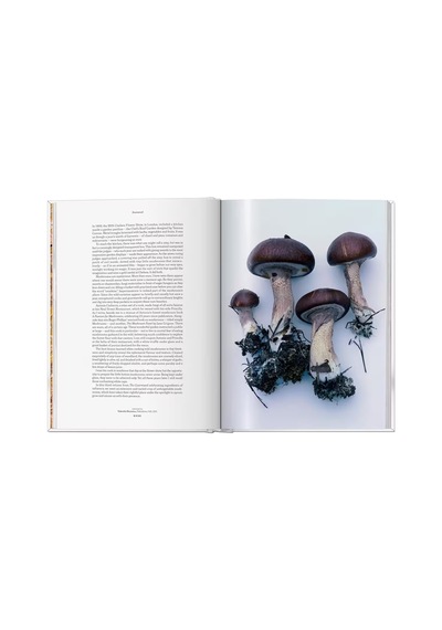 Taschen The Gourmands Mushroom A Collection Of Stories And Recipe