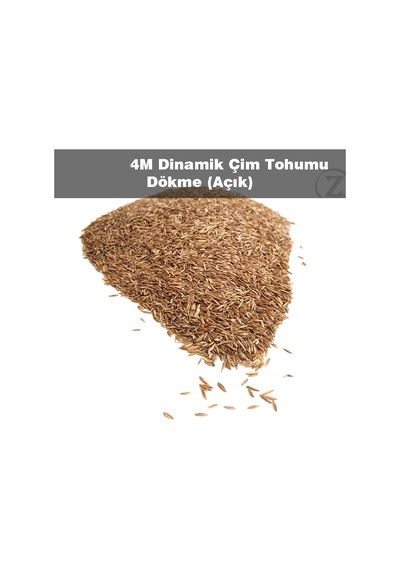 Çim Tohumu 5 KG Dinamik 6M Dayanıklı Çim Tohumu
