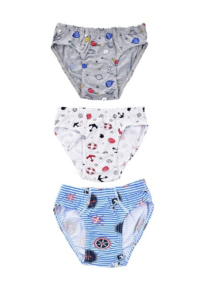 Pemilo Erkek Çocuk 255 Desenli 3'Lü Slip Karışık Renkli (485926318)