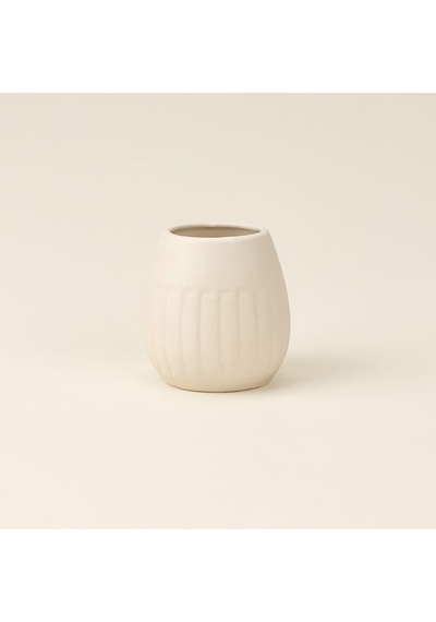 Bath Matte Diş Fırçalık - Asorti - 7x6,5 Cm Çok Renkli