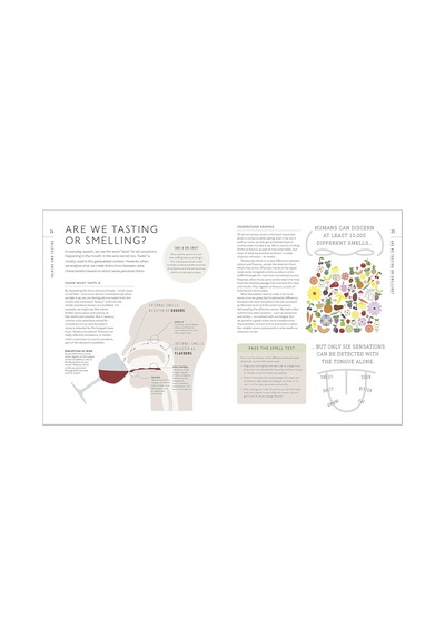 Wine A Tasting Course: From Grape To Glass