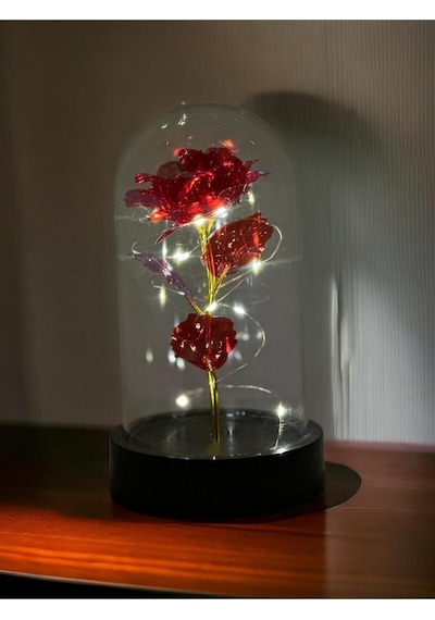 Lapidaria Fanus Içerisinde Dekoratif Peri Led Işıklı Kırmızı Solmayan Sonsuzluk Gülü Lamba Ve L