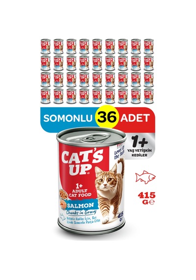 Cats Up Yaş Yetişkin Kedi Maması Somonlu 415gr 36lı