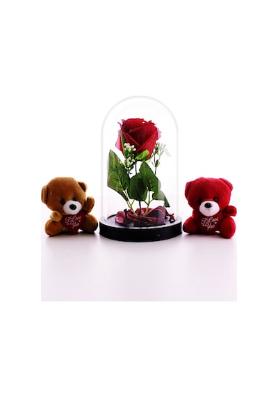 Sevgiliye Eşe Hediye 2 Adet Mini Ayıcıklar Fanusta Led Işıklı Kırmızı Gül ve Sevgiliye Set Hediye HDH75