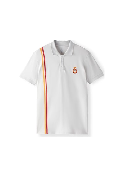Gsstore Galatasaray Erkek Polo T-shirt E252104 Gri