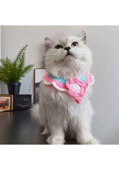 Kedi Ve Köpek İçin Çeşitli Renk Ve Desende Yakalıklar