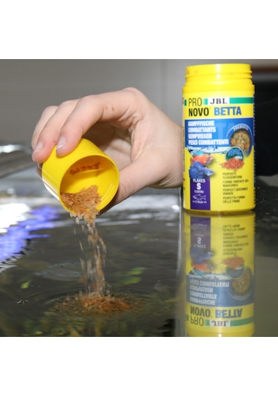 Pronovo - 553 - Betta Flakes - Csmo-tex - S 100ml