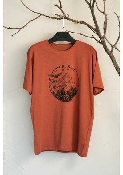 Sıfır Yaka Büyük Beden Baskılı Penye Erkek T-Shirt Çok Renkli