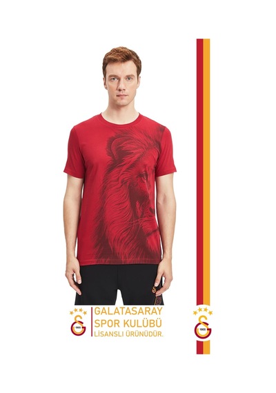 Gsstore Galatasaray Lisanslı Aslan Baskılı Kişiye Özel T-shirt Hediyelik Ahşap Kutulu Kırmızı
