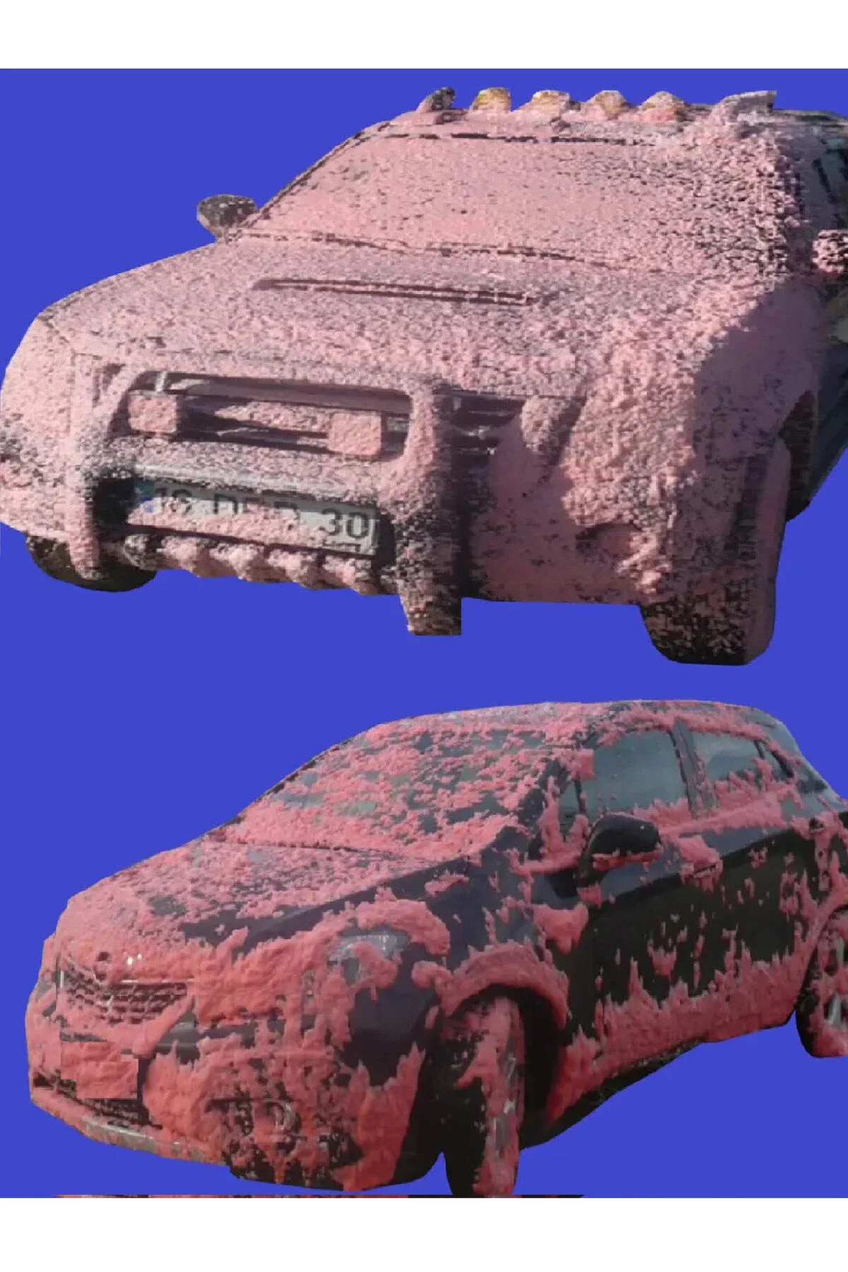 Fırçasız Cilalı Şampuanı+torpido Sütü+lastik Parlatıcı+jant Temizleyici+susuz Motor Yıkama 5 Liset