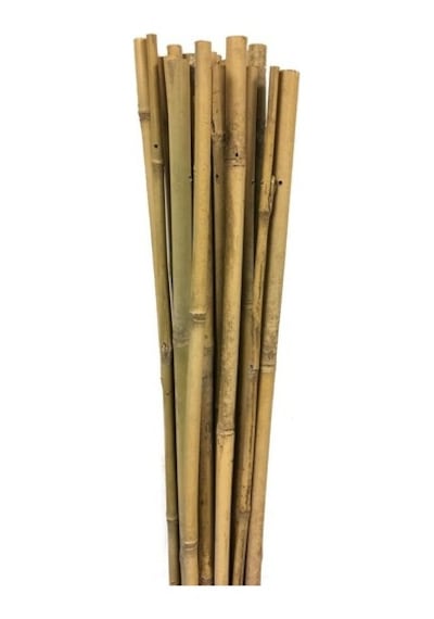 Gardener 63717 Bambu Destek Çubuğu 10'Lu 12-14 Mm X 150 Cm