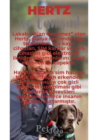 Petjoo 26.Hertz Gri-Kırmızı Qr'lı Köpek Künyesi
