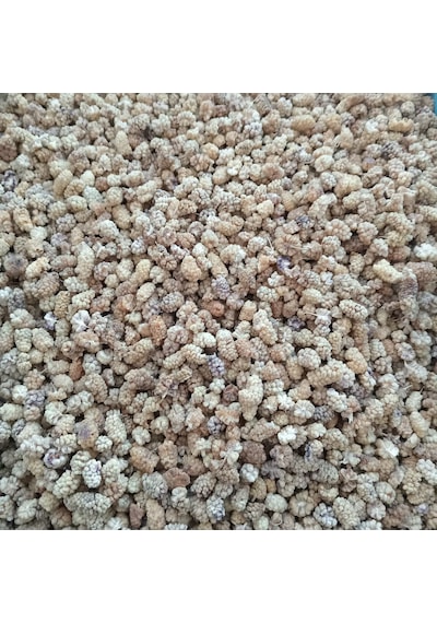Toptan Elazığ Çekirdeksiz Kuru Dut Ekonomik 10 Kg Diğer