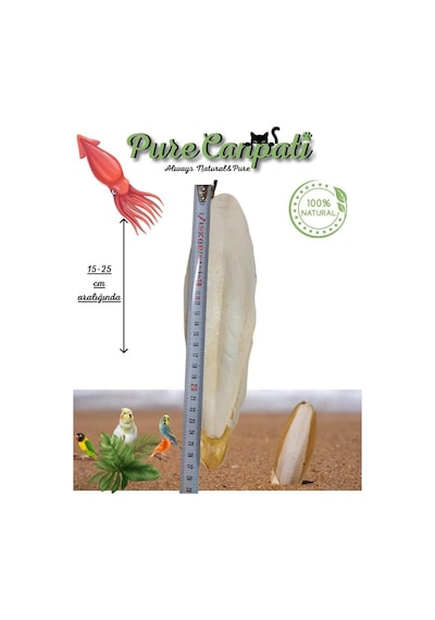 Xl Kalamar Kemiği İri Boy 15-20 Cm Aralığında