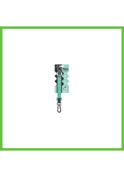M-pets Pull Power Köpekler İçin Şok Emici Ara Tasma Yeşil 25 Cm Dmc