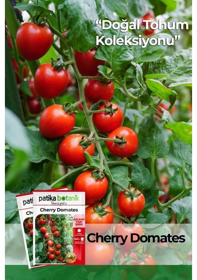 30 Adet Cherry Domates Tohumu