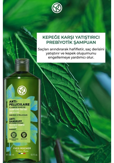 Kepek Oluşumunu Engelleyerek Saç Derisini Rahatlatan Etkili Şampuan 300ml