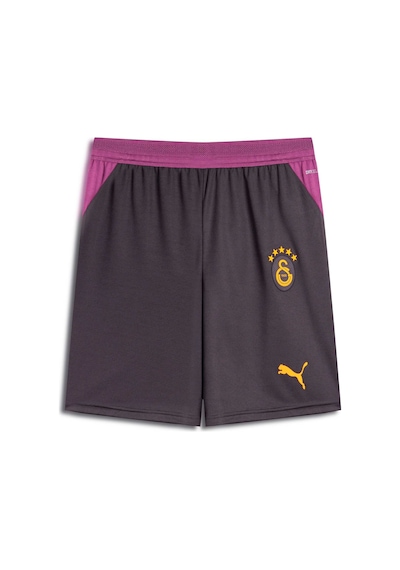 Puma Galatasaray 26/27 Erkek Futbol Şortu 785023 05 Gri