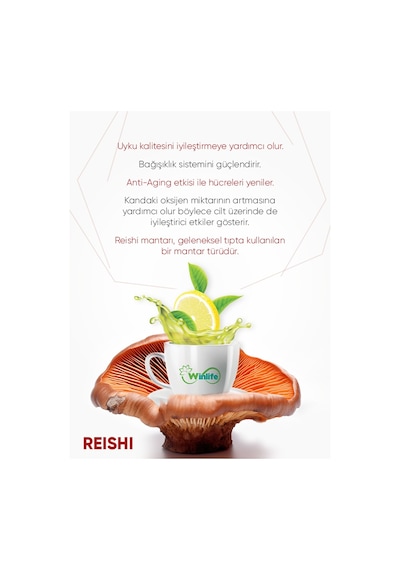 Winlife Reishi Winmix Çayı 30 x 1.5 G