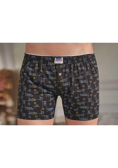 Berrak 1054 Desenli Boxer Büyük Beden 3'Lü