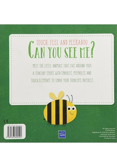 Yoyo Books Can You See Me Small Creatures