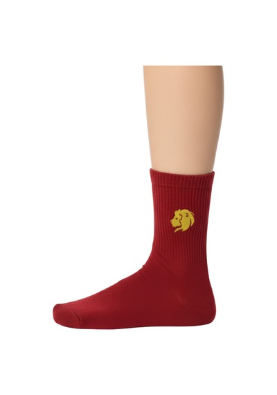 Taraftar 6 Çift Kutulu Sarı Kırmızı Aslan Nakışlı Casual Yazlık Kışlık Unisex Soket Tenis Çorap Çok Renkli