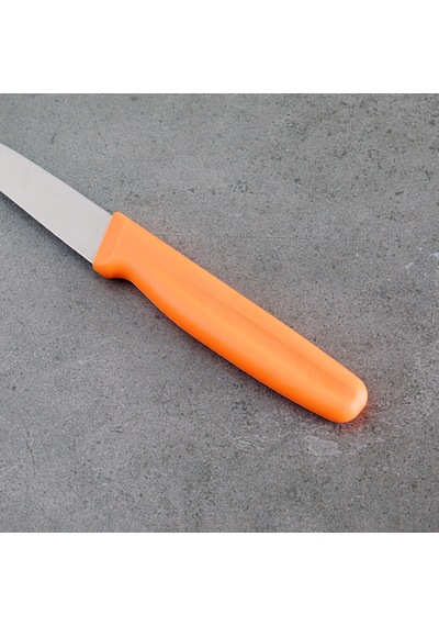Aryıldız Sivri Uçlu Meyve Bıçak Turuncu 8 Cm