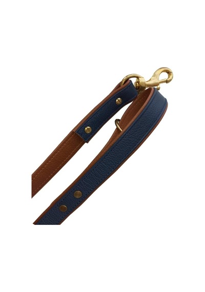 Baldur Handmade Deri Köpek Gezdirme Kayışı Mavi Cll-ba-b Genel