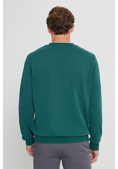 Ac&Co / Altınyıldız Classics Standart Fit Normal Kesim Bisiklet Yaka Erkek Sweatshirt - Koyu Yeşil