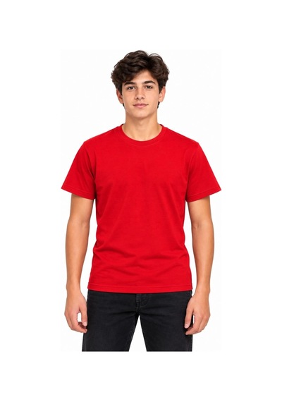 Erkek Çocuk Basic Bisiklet Yaka Kısa Kollu Slim Fit Yazlık Tişört Çok Renkli