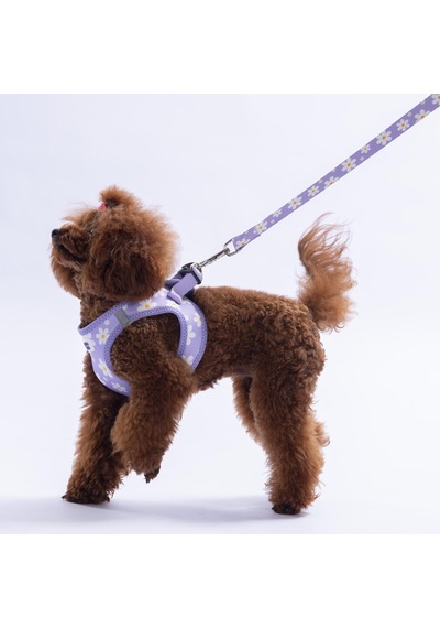 Purple Dream Göğüs Tasması Ve Sevk Kayışı Tasma Seti Papatya Desenli Kedi Köpek Göğüs Tasması Seti Lila