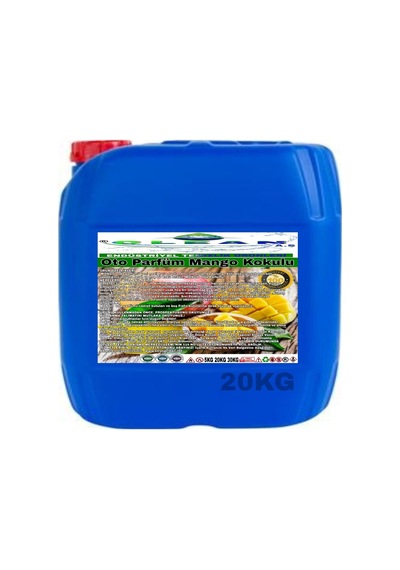 CLEAN OTO PARFÜM MANGO KOKULU 20KG