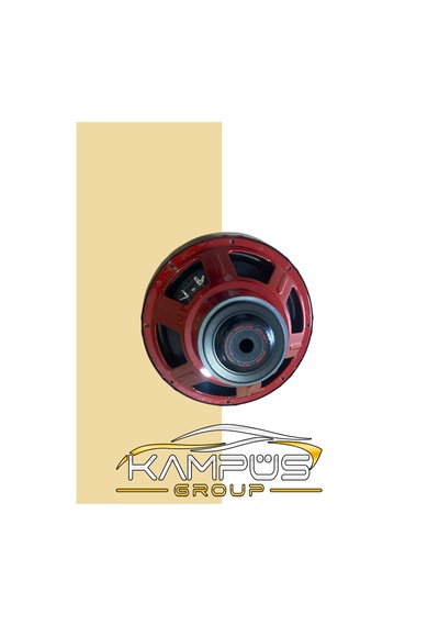 Boschmann Subwoofer Bm Audio 1400 Watt 300 Rms 30 Cm