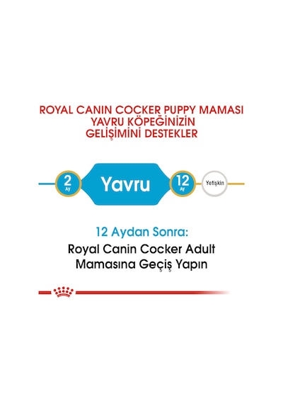 Royal Canin Cocker Puppy Irka Özel Yavru Köpek Maması 3 KG