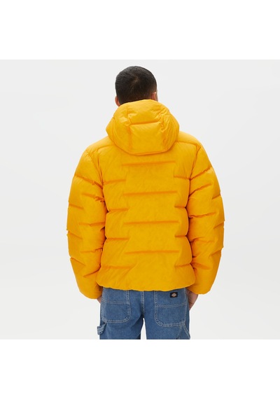 The North Face Rmst Sierra Erkek Sarı Mont Düz Nf0a832r56p1 6234730