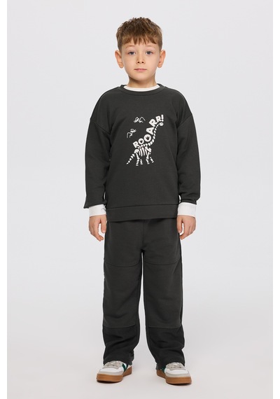 Panço Erkek Çocuk Dinozor Baskı Antrasit Sweatshirt Gri