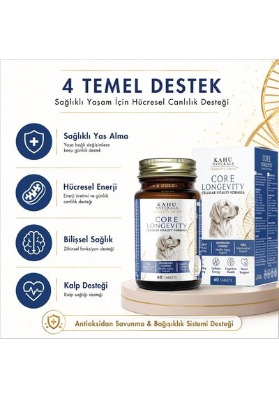 Core Longevity Köpek, Koenzim Q10, Nad+, Pqq, Mantar Kompleksi, 60 Tablet