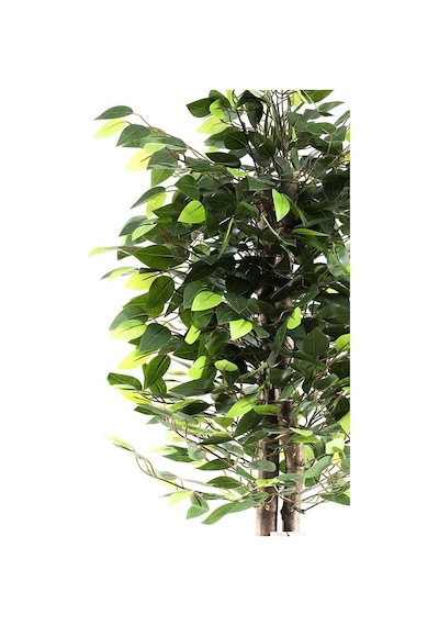 Yapay Ağaç Benjamin Yeşil 2 Gövdeli 110*70cm Siyah Plastik Saksılı