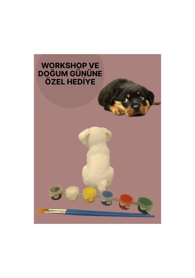 3d Köpek Figür Boyama Seti - Kendin Boya Hobi Ve Etkinlik Seti - Akrilik Boya + 2 Fırça