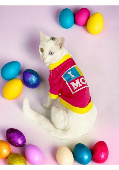 Kemique Hediye Paketli I Love Mom Pink Oval Yaka Kedi Tişört