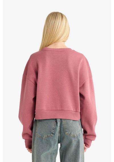 Defacto Coool Bisiklet Yaka Baskılı Sweatshirt G3197ax25wnbr363 Bordo-br363 Defacto Coool Bisiklet Yaka Baskılı Sweatshirt G3197ax25wnbr363 Bordo-br363
